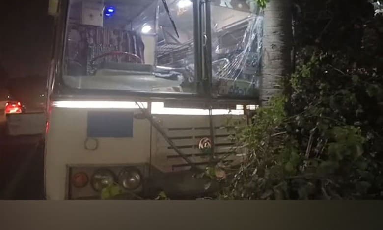 Telangana: 26 injured as bus hits tree in Hanumakonda district