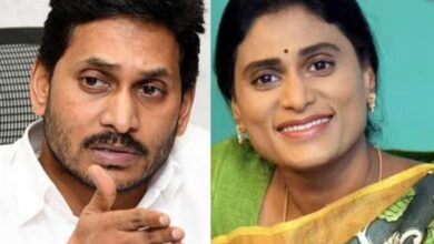 AP: YSRCP downplays Y S Sharmila's move to join Congress