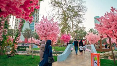 Japanese Sakura Garden in Jeddah offers visitors unique experience