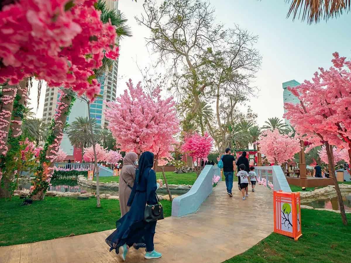 Japanese Sakura Garden in Jeddah offers visitors unique experience