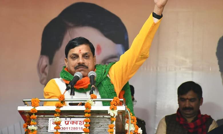 Worshipping cow means worshipping 33 crore gods, says MP CM