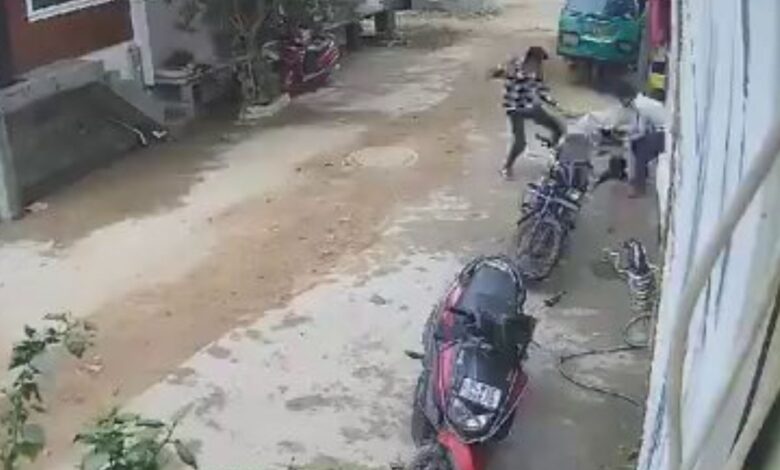 Pit Bull dog attack: On CCTV, 1.5-yr-old girl snatched from grandfather's lap