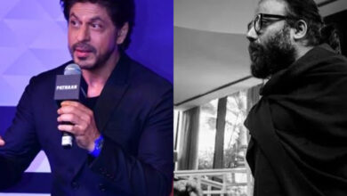 Exclusive: SRK, Sandeep Vanga's movie collaboration, true or fake?