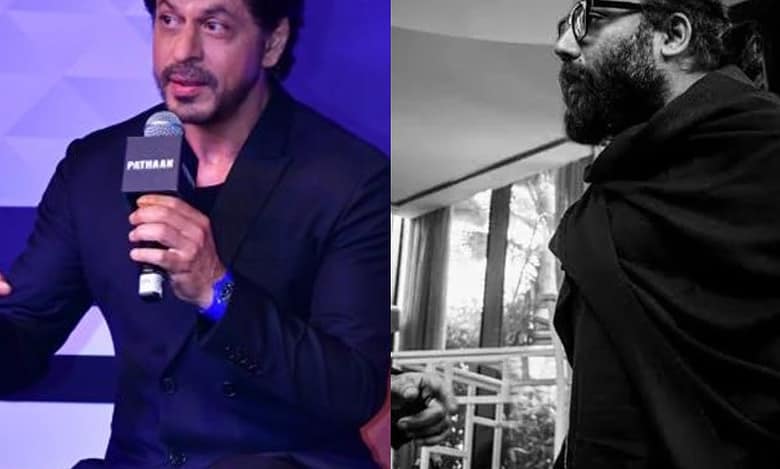 Exclusive: SRK, Sandeep Vanga's movie collaboration, true or fake?
