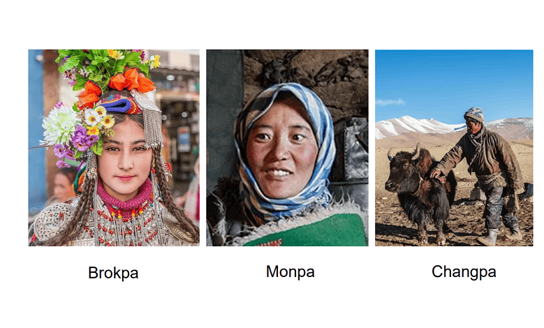 CCMB researchers discover diverse genetic roots of Ladakh population