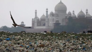 Yamuna river pollution: Politics of indecision threatens Taj Mahal