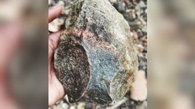 Palaeolithic axe dating back 30 lakh years discovered in Telangana