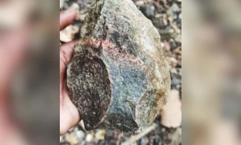 Palaeolithic axe dating back 30 lakh years discovered in Telangana