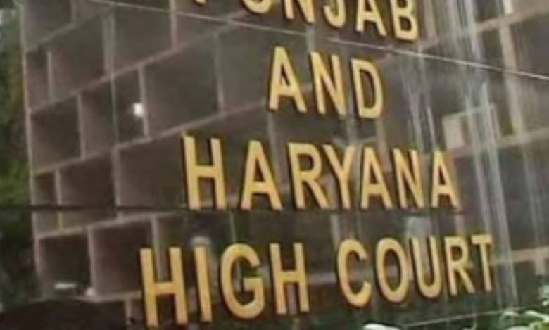 ‘Take this immoral thing back’: HC judge on habeas corpus by same-sex couple