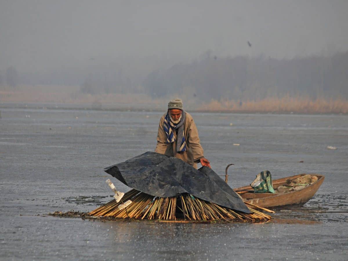 Kashmir: Fishermen begin 'shadow fishing' in Anchar Lake