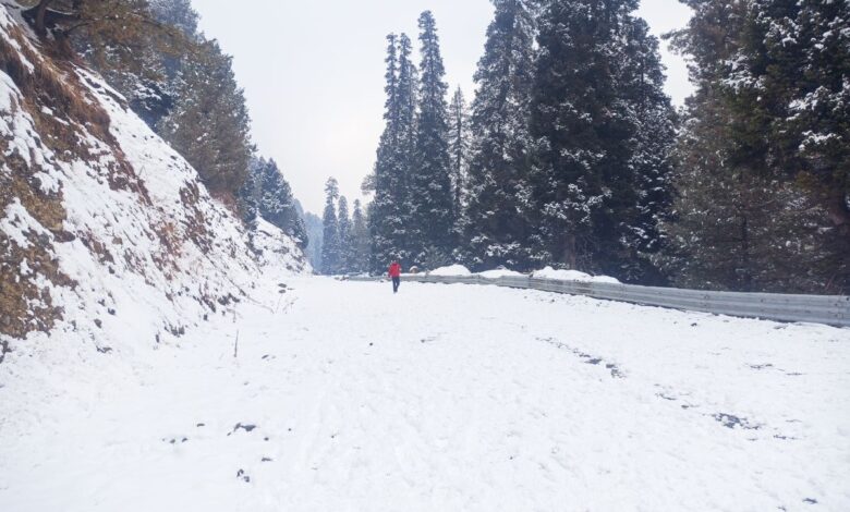 Dry spell hits tourism, agriculture, power generation in Kashmir