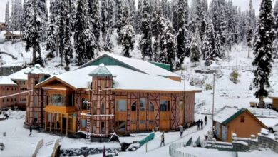 Kashmir breathes sigh of relief with snowfall in higher reaches