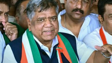Will strive to make BJP win more LS seats in Karnataka: Shettar