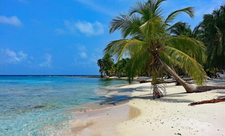 Know list of India's best beaches amid Lakshadweep vs Maldives row