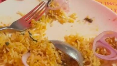 Cockroach found in biryani at buffet restaurant in Hyderabad