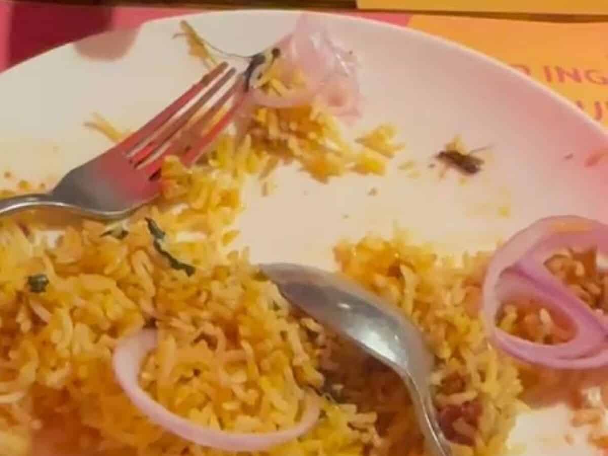 Cockroach found in biryani at buffet restaurant in Hyderabad