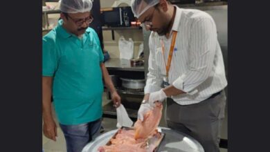 Hyderabad restaurant under GHMC scrutiny; fish biryani samples sent to lab