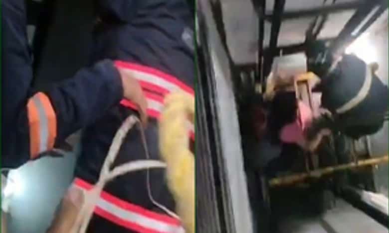 10 people stuck in lift of Delhi restaurant rescued after 3-hr operation