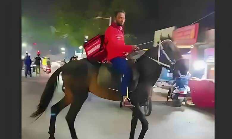 Zomato delivery boy delivers food on horse in Hyderabad