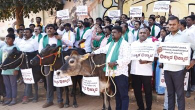 BJP stages protest against 'anti-cow' Congress govt in Karnataka