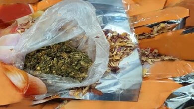 Dubai Customs seizes 26.45kg of marijuana hidden in onion shipments