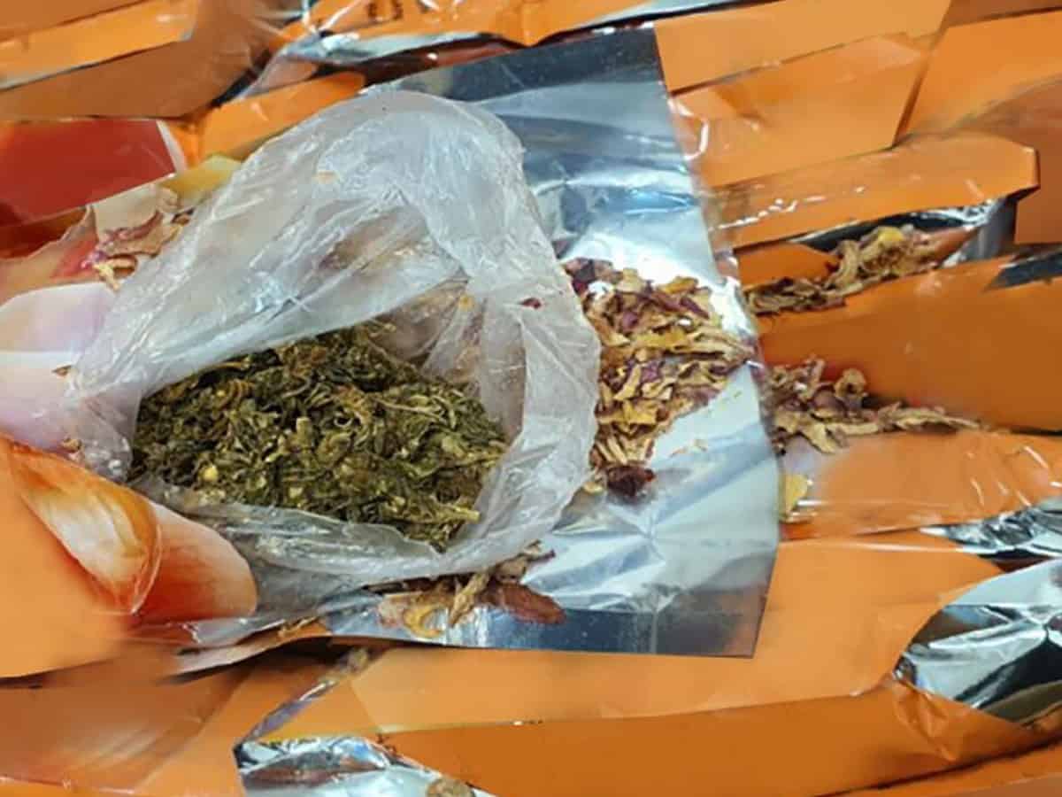 Dubai Customs seizes 26.45kg of marijuana hidden in onion shipments