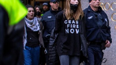 Euphoria star Hunter Schafer arrested for pro-Palestine protest in NYC