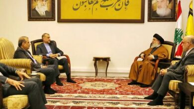 Iranian FM discusses Gaza situation with Palestinian group leaders