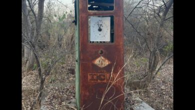 Nizam's private petrol pump in Hyderabad's KBR national park