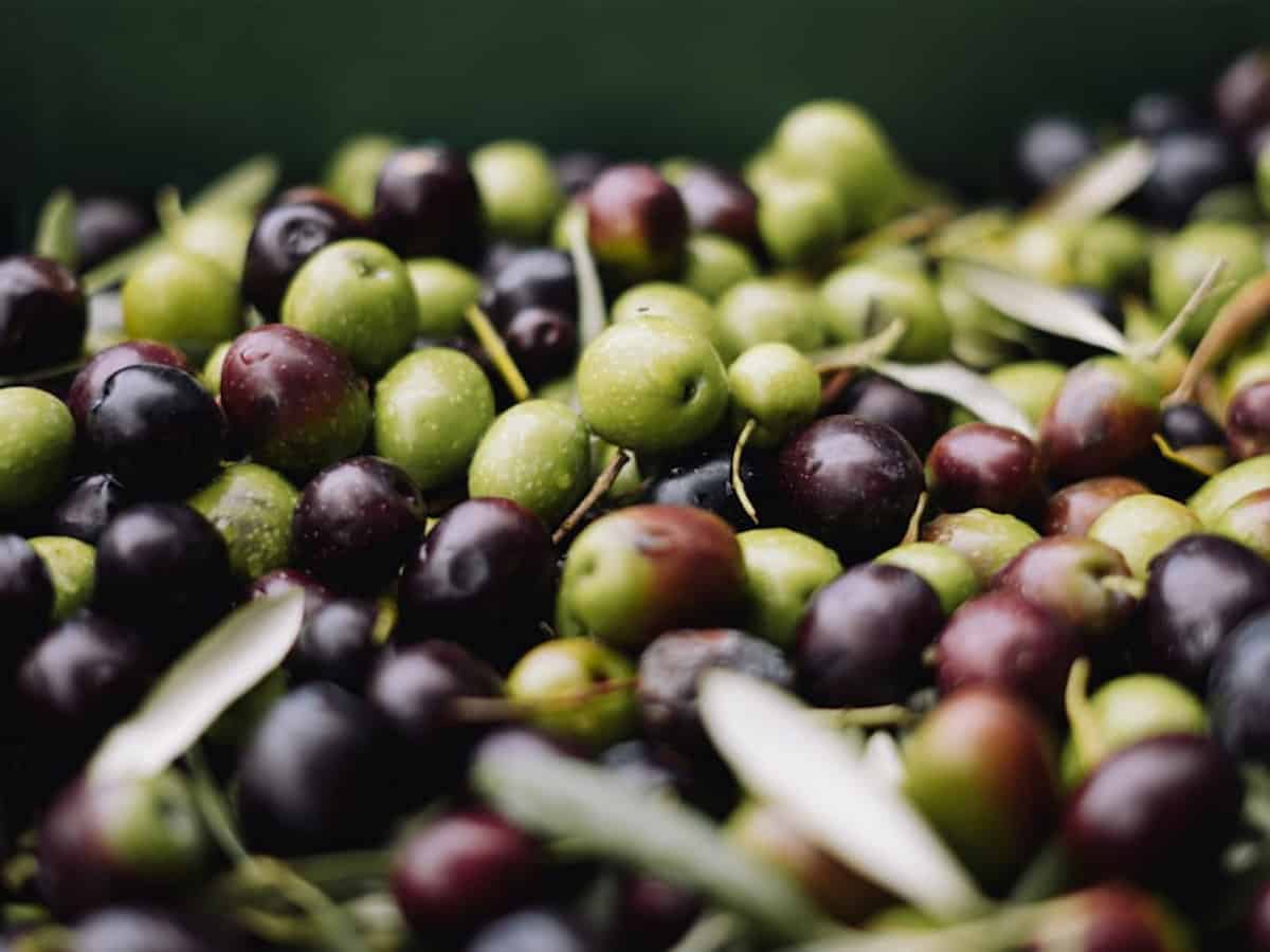 Kuwaiti: Man files for divorce over wife’s love for olives
