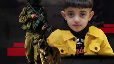 Israeli forces releases attack dog on 4-year-Palestinian boy in West Bank