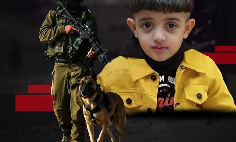 Israeli forces releases attack dog on 4-year-Palestinian boy in West Bank