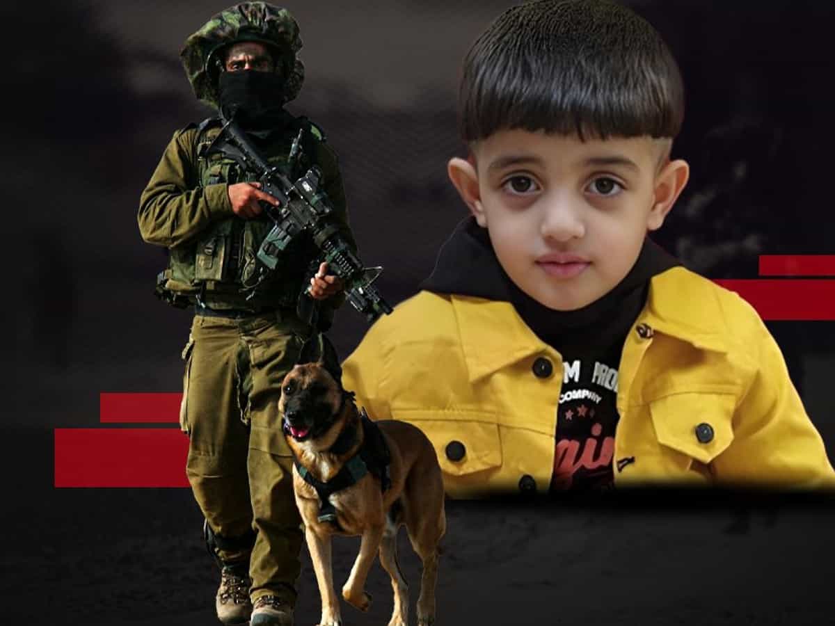 Israeli forces releases attack dog on 4-year-Palestinian boy in West Bank