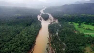 Karnataka: Aghanashini river basin secures place in Ramsar wetland site