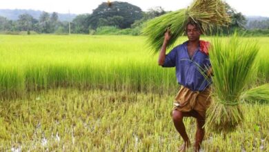 UDF accuses Kerala govt of 'carelessness' towards farmers' plight