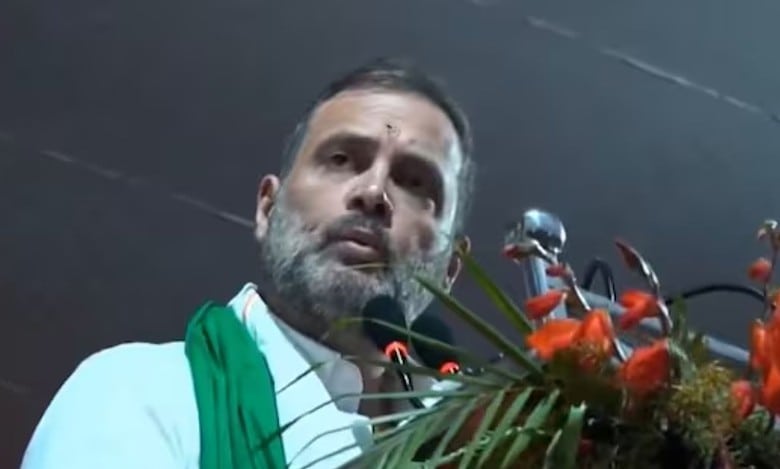 BJP attempted to 'steal' government in Jharkhand: Rahul Gandhi