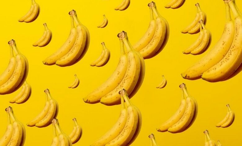 Russia starts exporting bananas to India after Moscow stops purchase from Ecuador