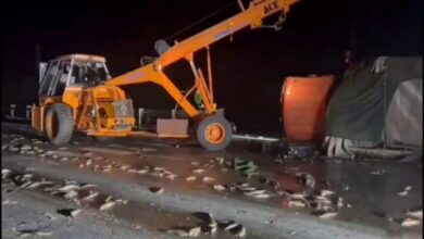 Tons of live fish crushed as lorry overturns on national highway in Telangana