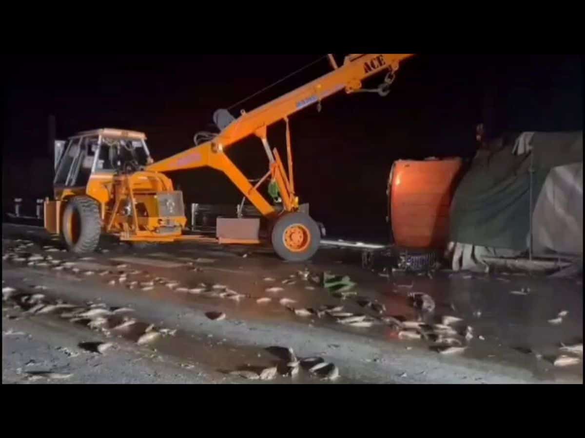 Tons of live fish crushed as lorry overturns on national highway in Telangana