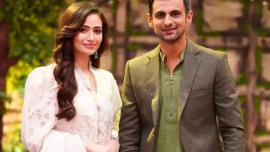 Sana Javed, Shoaib Malik's honeymoon pic goes viral, netizens react