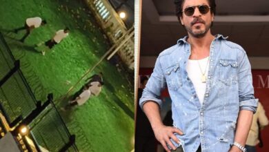 SRK spotted playing football, inside video of Mannat goes viral