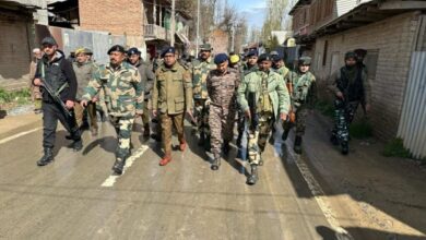 LS polls: Security forces conduct flag marches across Kashmir