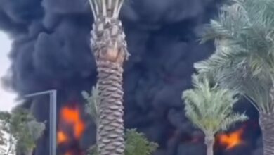 Dubai: Massive fire breaks out on E611 route