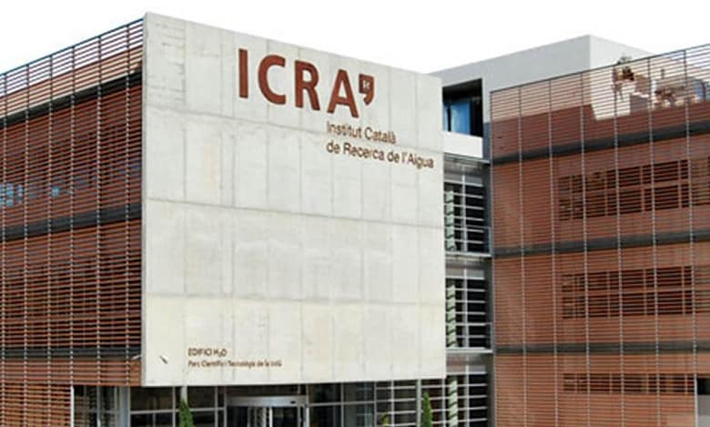 Indian IT services industry to see modest 3-5 pc revenue growth in FY25: ICRA