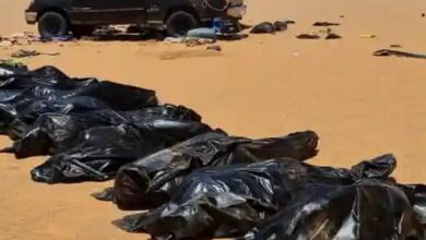 At least 65 bodies found in mass grave in Libya desert: UN agency