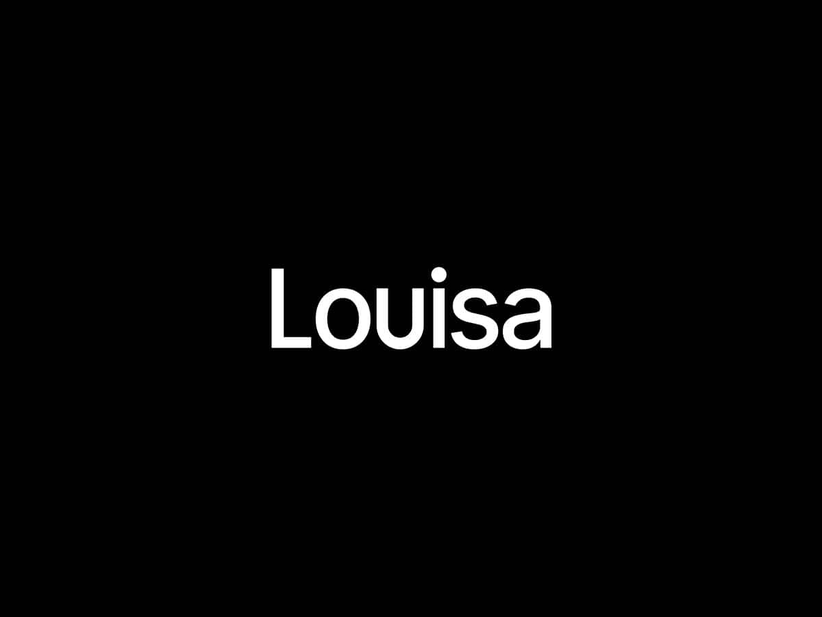 Louisa AI secures $5 mn funding to enhance its tech