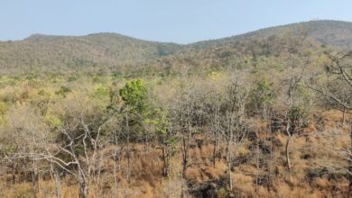 _Nagarjunasagar Srisailam Tiger Reserve