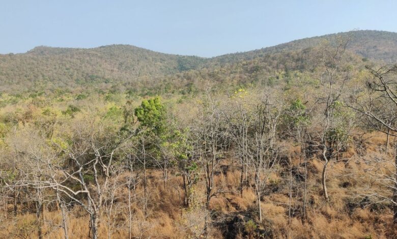 _Nagarjunasagar Srisailam Tiger Reserve