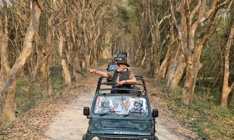 PM Modi takes safari in Kaziranga National Park