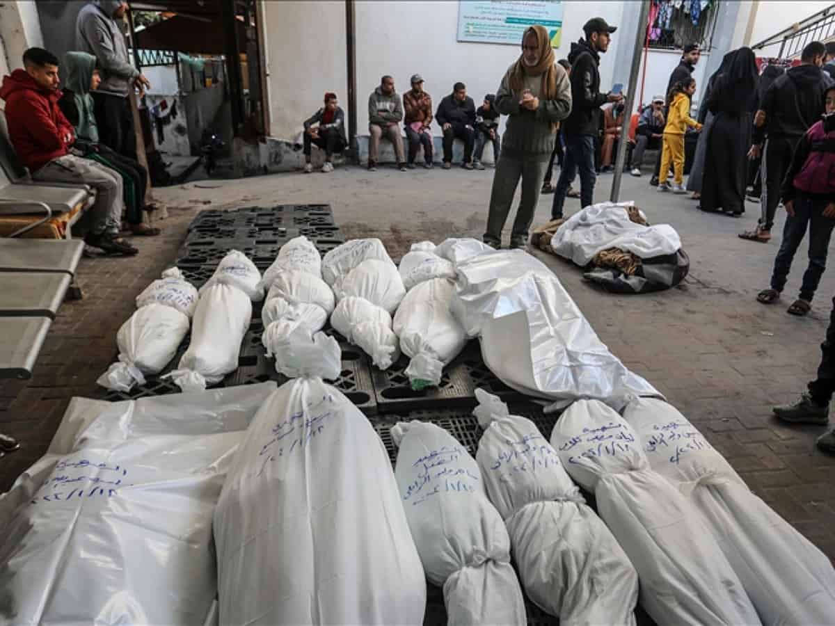 Gaza's death toll mounts to 31,645: Health ministry